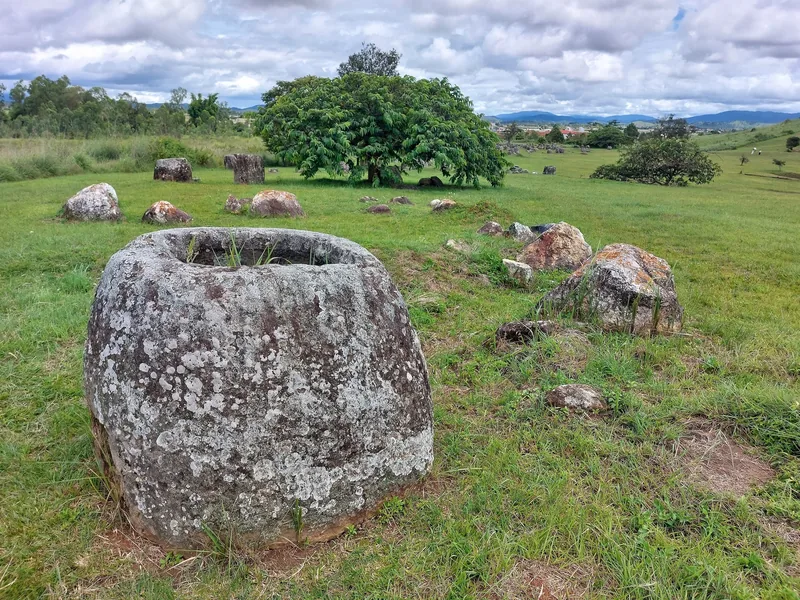 Ancient stone jars scattered across a grassy field with a large tree at the Plain of Jars, Xieng Khouang.